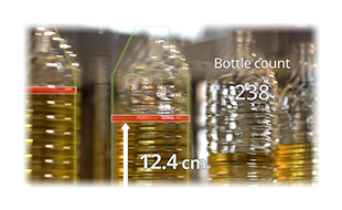 Quantify and verify production line output.