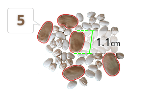 Identify, count and measure objects.